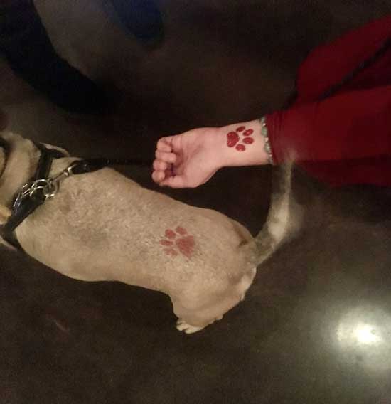 A person's arm with red paw prints tattoos aligning with a dog's real paw prints on its body.